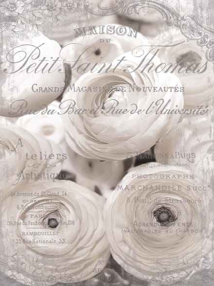White Roses Vintage Effect Photo Wallcovering