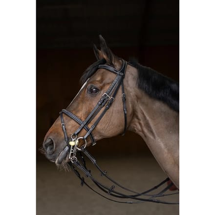 Anatomisch hoofdstel HFI Double Jump