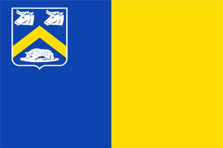Vlag Essen 120x180cm