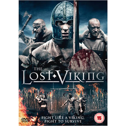 The Lost Viking