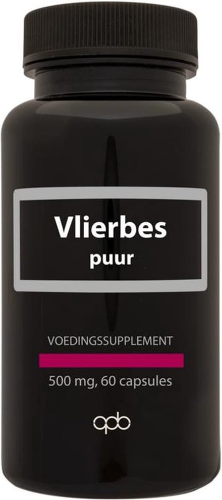 APB Holland Vlierbes extract puur 500mg 60 Vegetarische capsules