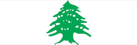 Vlag Libanon 50x75cm