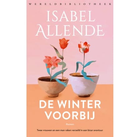 De Winter Voorbij - Isabel Allende