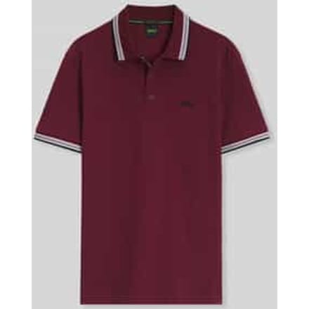Regular fit polokraag van puur katoen model 'PADDY'