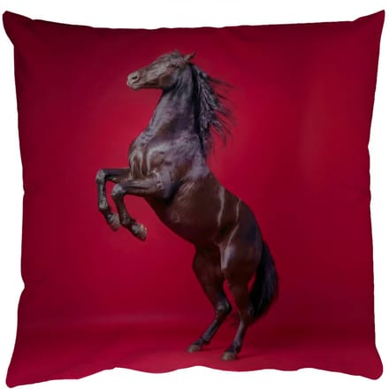 Sierkussens - Kussentjes Woonkamer - 60x60 cm - Hengst - Steigert - Rood