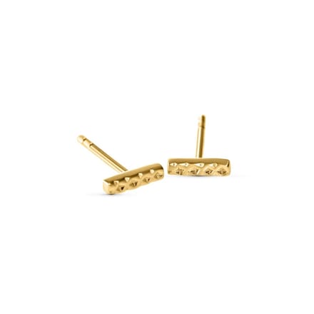 Lauren Sterk Amsterdam - oorbellen diamond cut - goud verguld - extra coating
