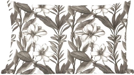 Sierkussens - Kussentjes Woonkamer - 60x40 cm - Klassiek - Botanisch - Zwart - Beige