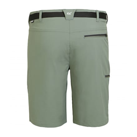 Regatta Heren Xert III Stretch Shorts (Agave Groen)