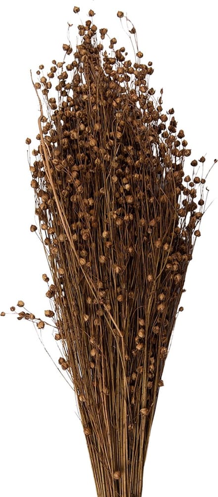Clayre & Eef Droogbloemen 60 cm Beige Droogbloemen