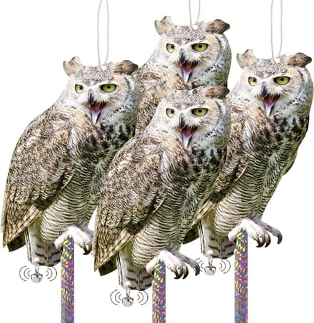 Set van 4 uilenpigeonafschrikkers van karton voor effectieve vogelbestrijding op balkon en terras