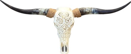 Longhorn skull gegraveerd wit