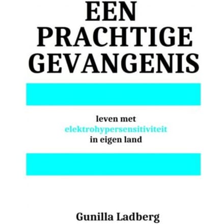 Een Prachtige Gevangenis - Gunilla Ladberg