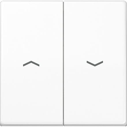 Jung AS500 Schakelelement/Centrale Plaat - AS591-5PWW - E32R4