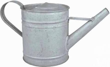Esschert Design gieter zink voor binnenshuis - 0,75 L