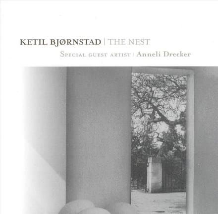 Nest