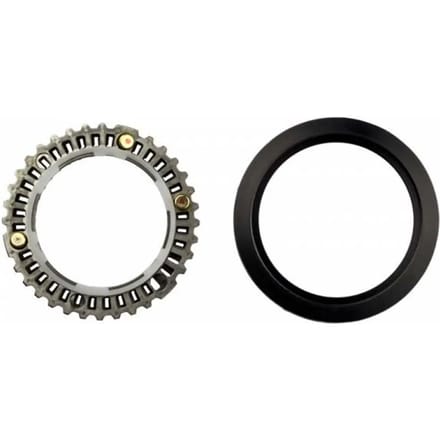 Paar wiellagers Zipp FRT Cognition DB nsw