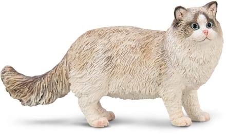COLLECTA Figurine - Ragdoll - (M) - Katten - Handgeschilderd - Miniatuur