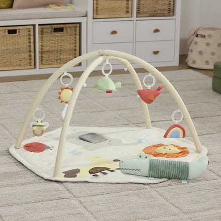 Skip Hop Geometric Wonders Babygym