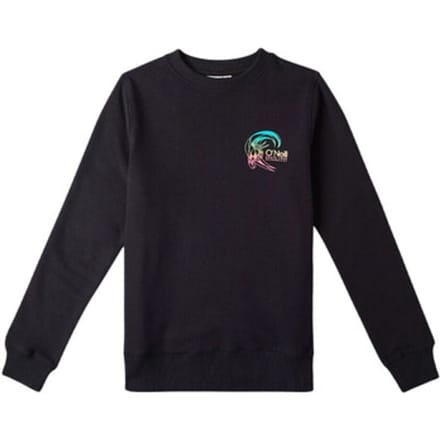 Sweaters O'neill Circle Surfer 16
