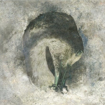 Suma - Ashes (2021 Edition) (CD)