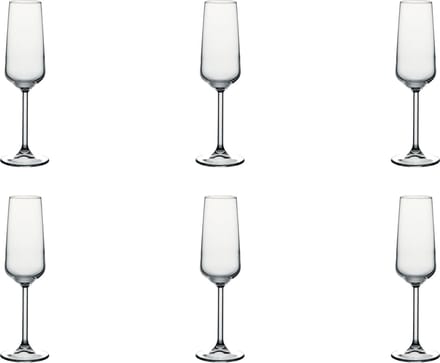 Pasabahce Allegra Champagneglas 19,5 cl - 6 stuks