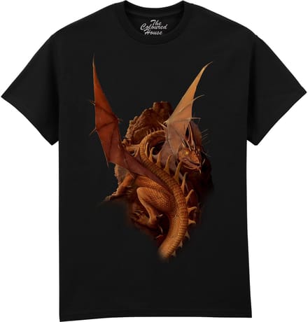Draak Earth And Fire The Coloured House T-shirt S