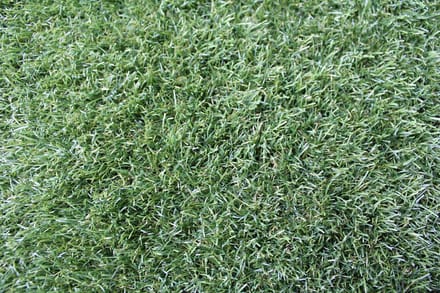 Niba® Kunstgras - 1x3m² - 45mm - Grastapijt - Groen - UV bestendig