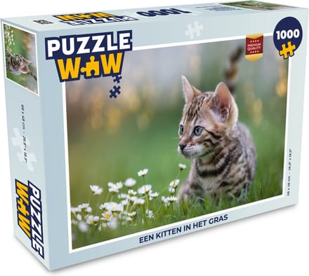 Puzzel Een kitten in het gras - Legpuzzel - Puzzel 1000 stukjes volwassenen