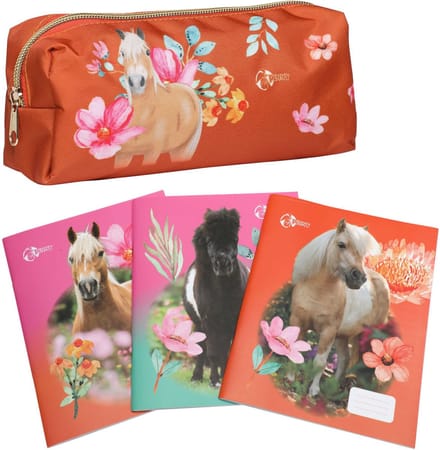 Penny | 3 x Schriften + Etui Saar