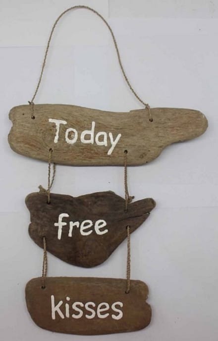 Driftwoodhanger Today free….. (drijfhout)
