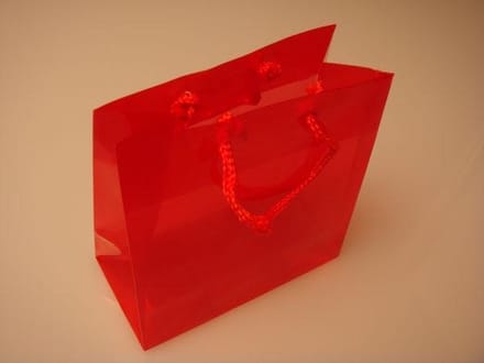 Geschenktassen 16x7,6x16cm met Draagkoorden (10 stuks)