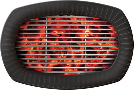 BBQ Borden 24cm - Kartonnen borden voor barbecue - 6 stuks