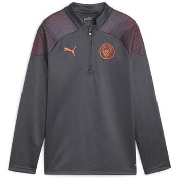 Sweaters Puma Mcfc Training 23/24