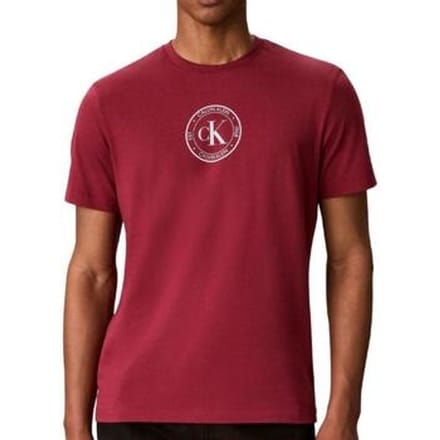 T-shirt Calvin Klein Jeans Ss 30s Eu Crest
