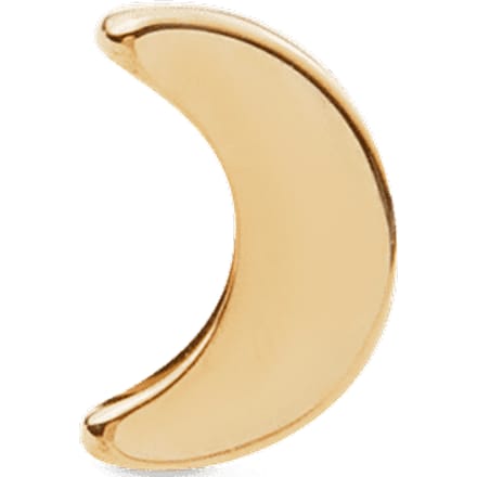 Daniel Wellington DW Earrings Micro 5mm Gold