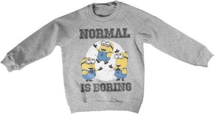 Minions Sweater/trui kids -Kids tm 4 jaar- Normal Life Is Boring Grijs