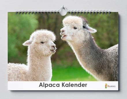 Huurdies - Verjaardagskalender - Alpaca - A3