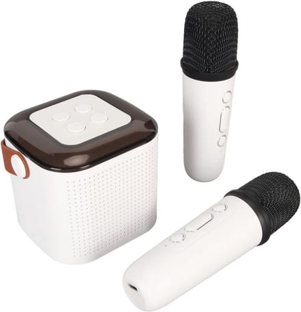 Draagbare Karaoke Machine met 2 Draadloze Microfoons en RGB Verlichting