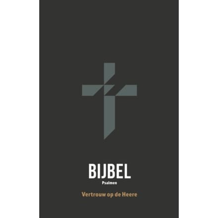 Hsv Jongensbijbel