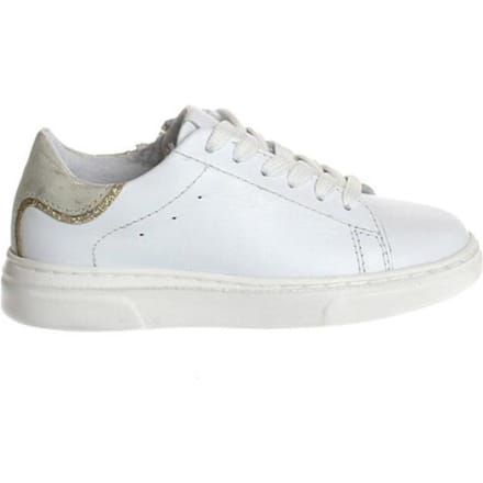 Gattino G1708