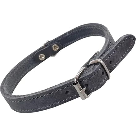 Hondenhalsband Nobby Pet Tabil