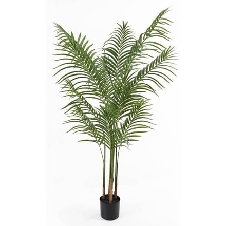 Present Time Kunstplant Kwai Tree - Groen - 60x60x140cm - Modern