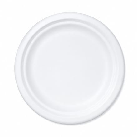 Pomebio kartonnen bordjes - bord - wit 220mm - kartonnen borden