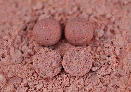Carp Whisperer - Squid Liver boilies - Diameter: 20mm - Gewicht: 2.5kg