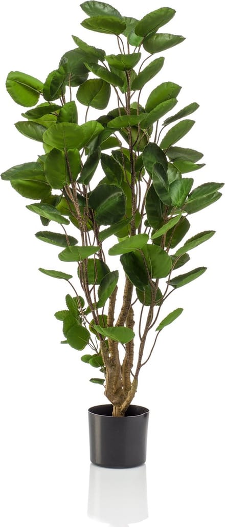 Emerald - Kunstboom Polyscias 105cm - Kunstplant voor binnen
