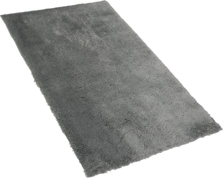 EVREN - Shaggy vloerkleed - Lichtgrijs - 80 x 150 cm - Polyester