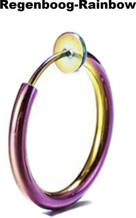 Neuspiercing Ringetje Cabantis|Fake Piercing|Neusring|Oorbellen|Festival|Regenboog