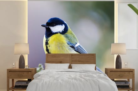 Behang - Fotobehang Koolmees - Vogel - Tak - Breedte 220 cm x hoogte 220 cm