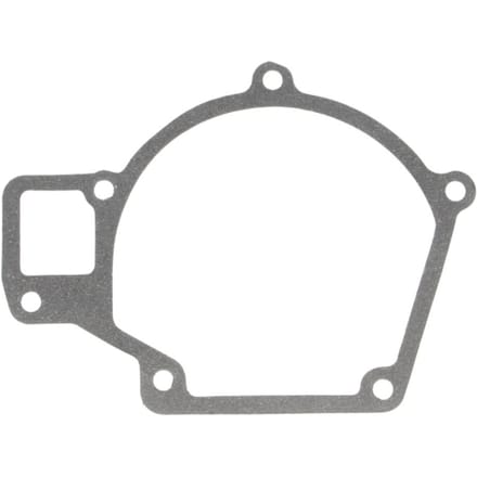 Pakking, waterpomp DT Spare Parts 3.16101