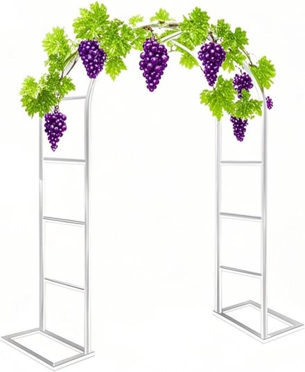 Rozenboog - Klimplant steun - Tuin decoreren - Gegalvaniseerd staal - 1.2 x 2.2 m - Wit
